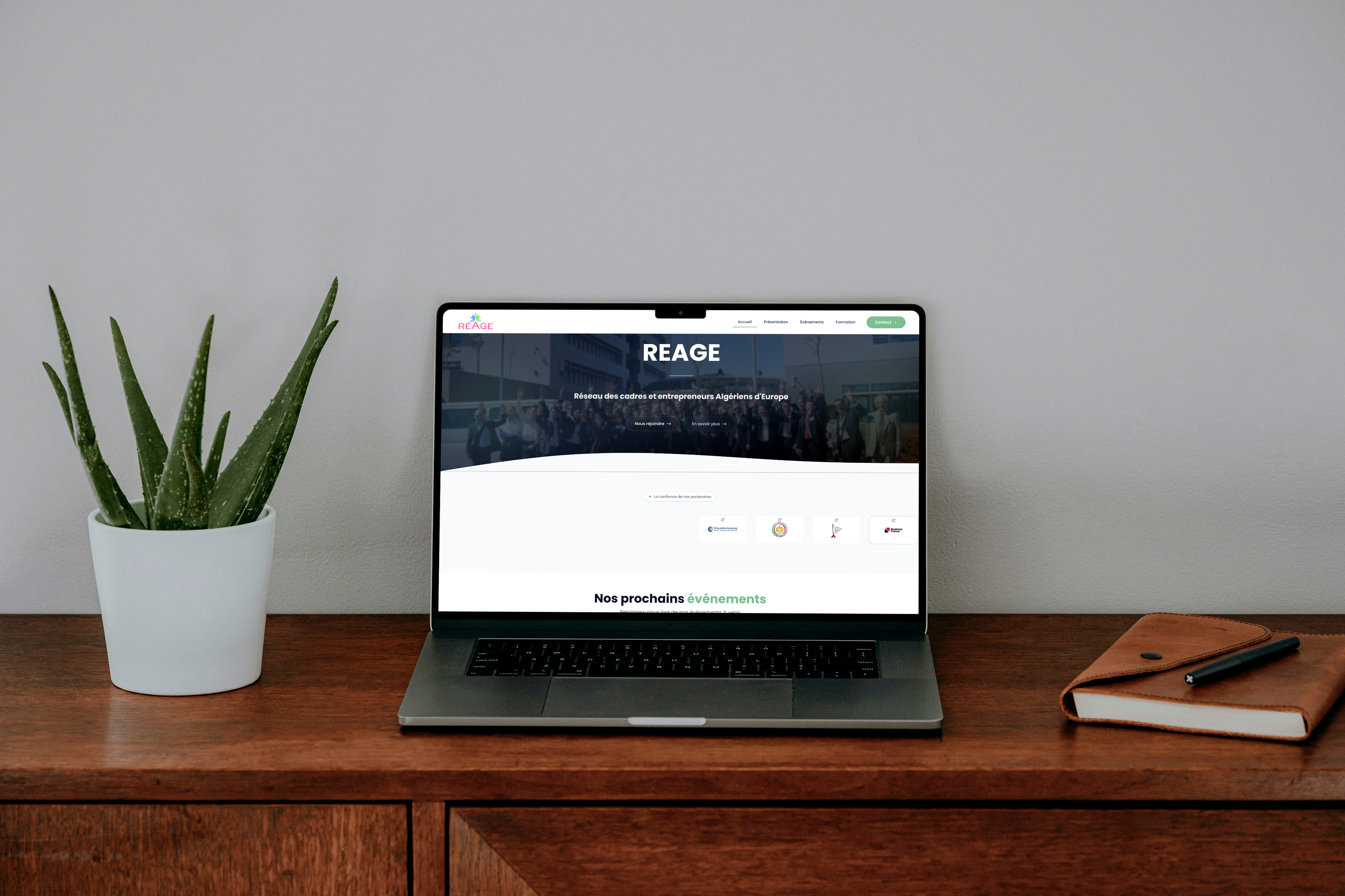 Reage - création site association & SEO